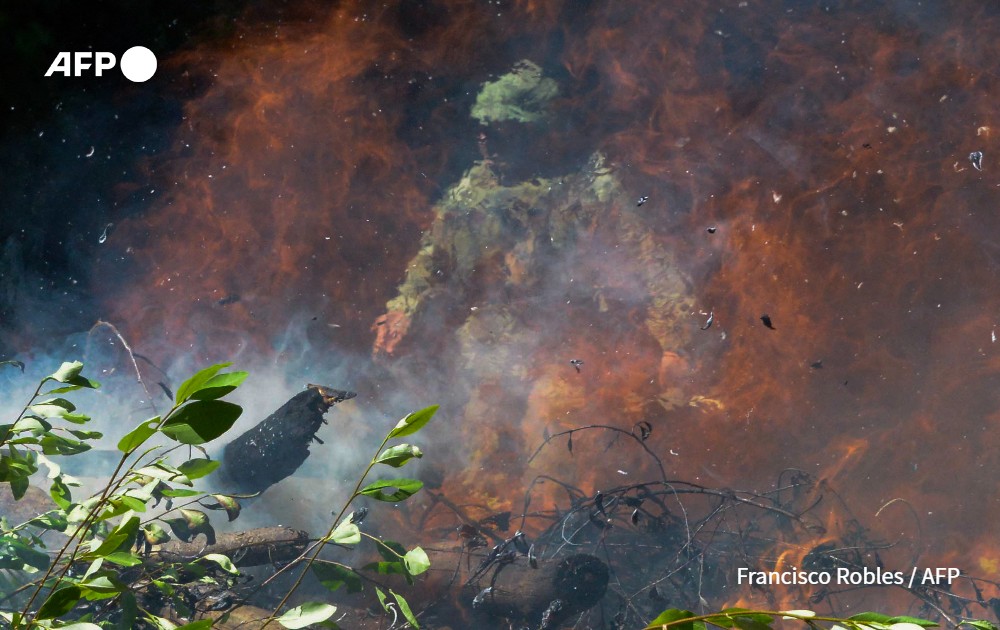 Mexican soldier burns coca plants, Atoyac de Alvarez, Mexico.