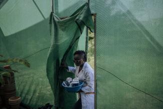 Marie Elodie Yéo Guéfala à l’université Félix Houphouët-Boigny de Bingerville, dans la banlieue est d’Abidjan. © Alexis Huguet / AFP